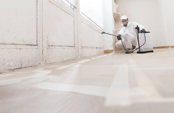 24/7 Emergency Mold Remediation experts in Chapel Hill, NC