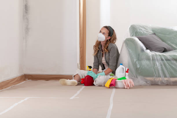 Reliable Mold Remediation contractor in Chapel Hill, NC by 24 Hour Mold Removal