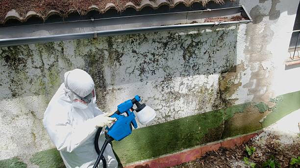 Top rated local Mold Remediation specialists in Chapel Hill, NC